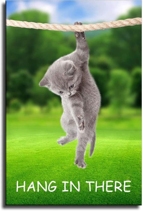 cat poster hang in there|Hang in There! Motivational Adventure Cat Poster .